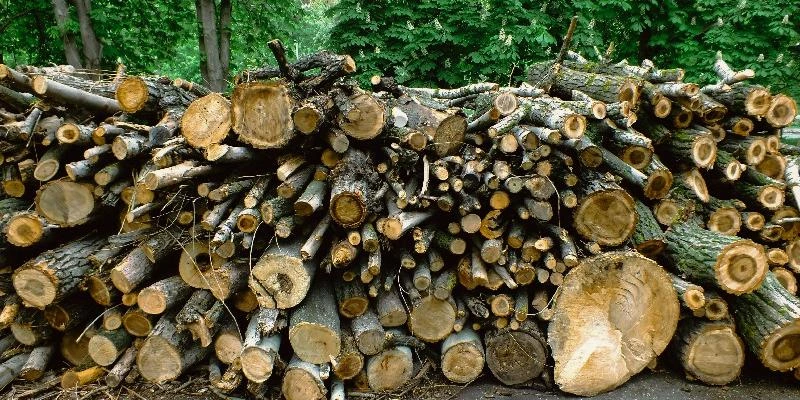 Les écoles recommandées pour le BTS maintenance et exploitation des matériels aéronautiques